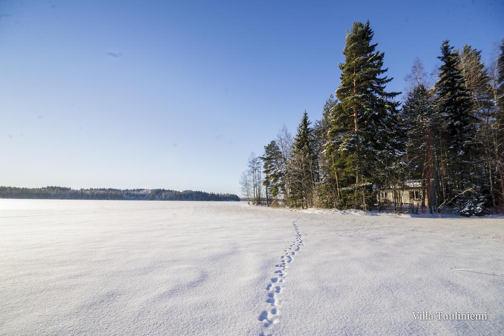 Villa Tuuliniemi Muurame Стая снимка